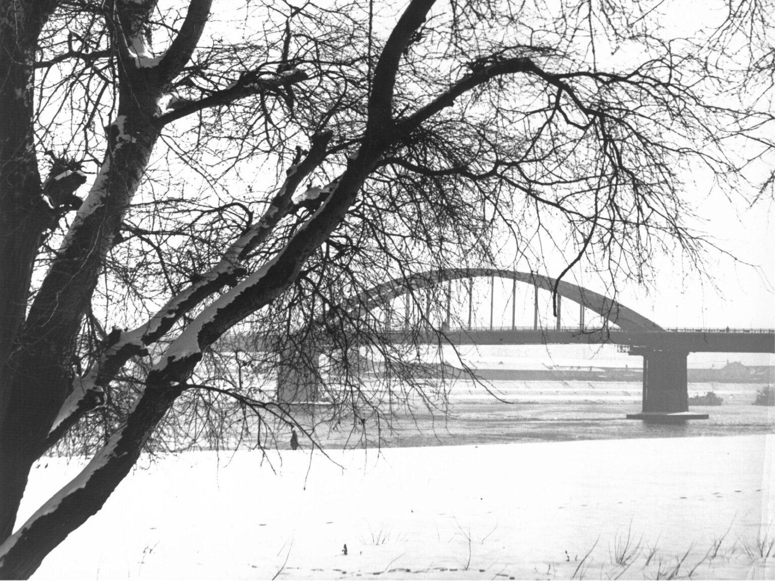 Slika za Nepostojani predeli: Raco Bulatović