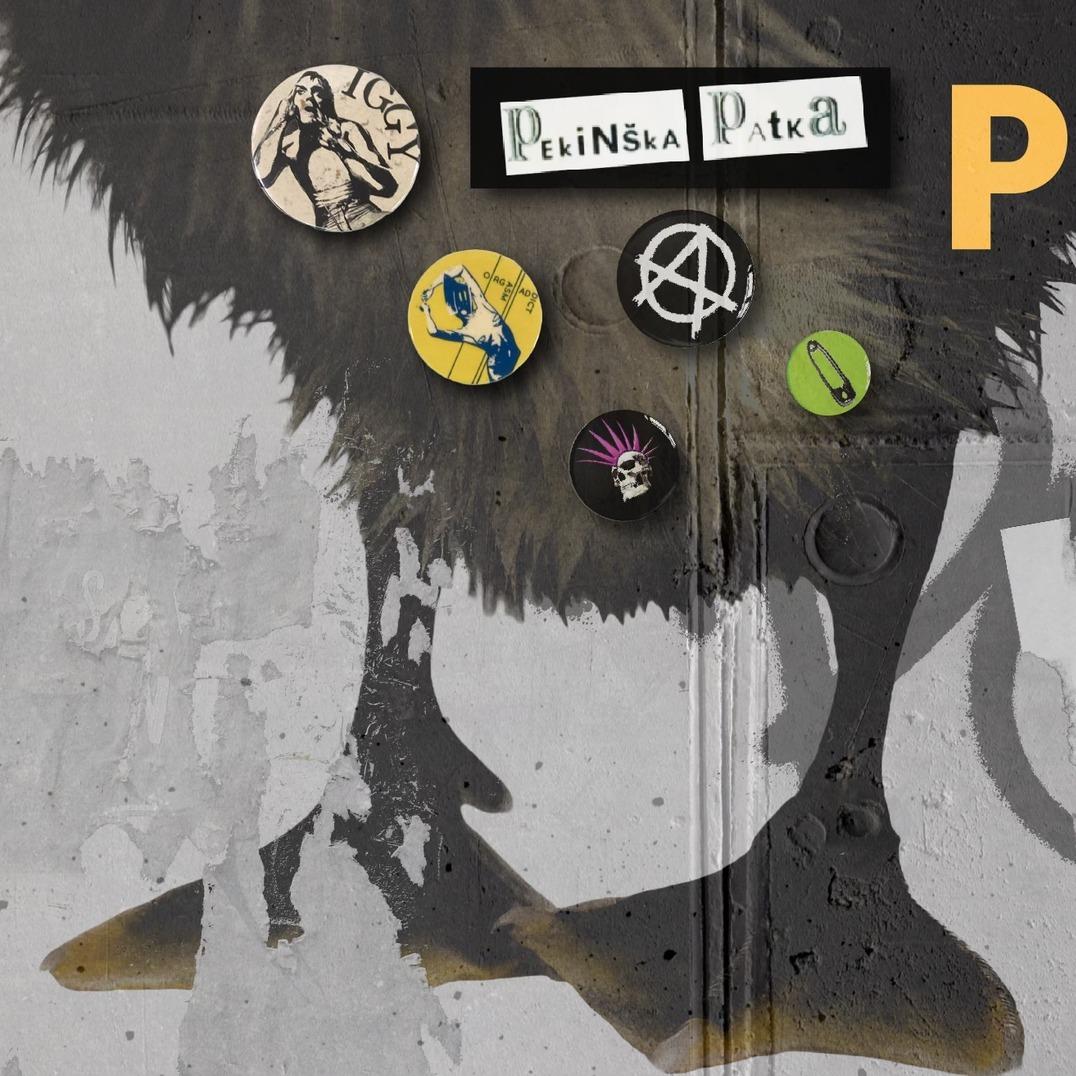 Slika za Pekinška patka