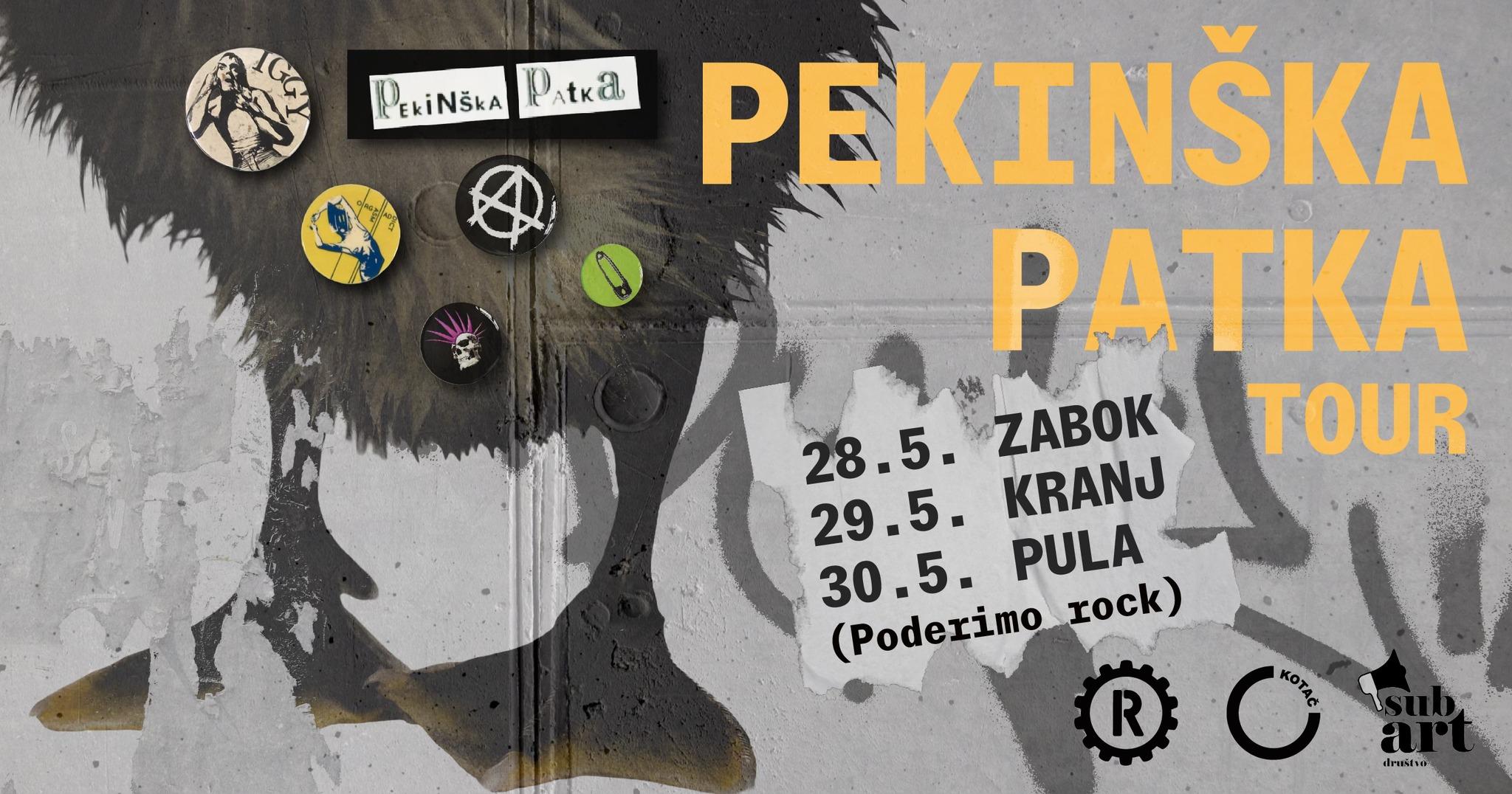 Slika za Pekinška patka