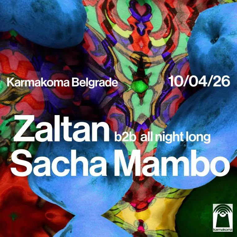 Slika za Zaltan (FR) b2b Sacha Mambo