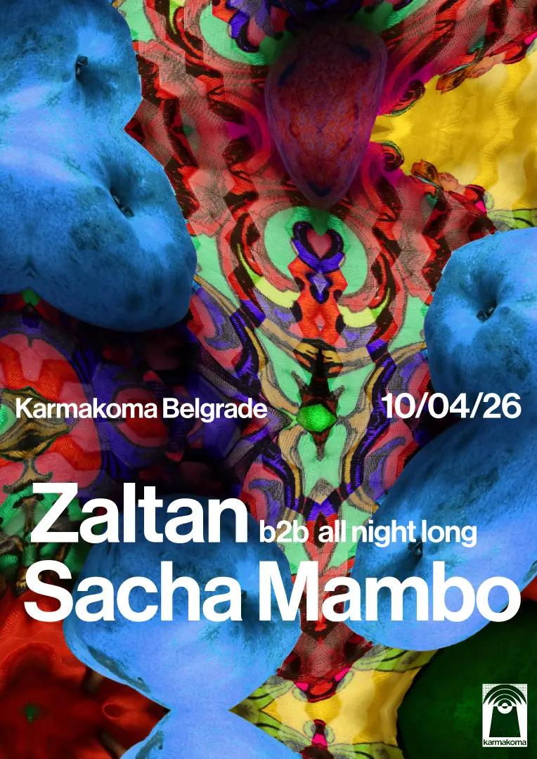 Slika za Zaltan (FR) b2b Sacha Mambo