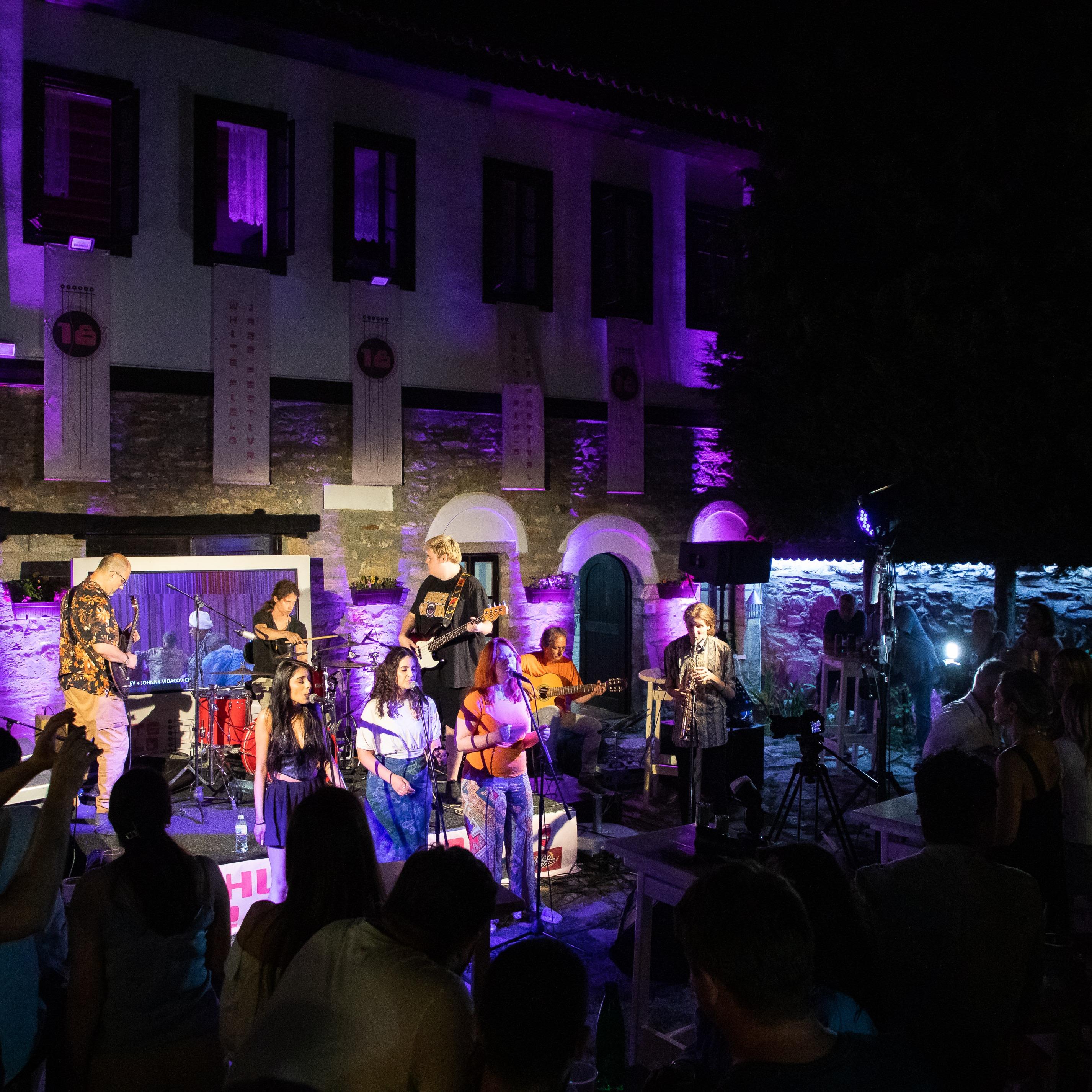 Slika za Nišville Jam Orchestra