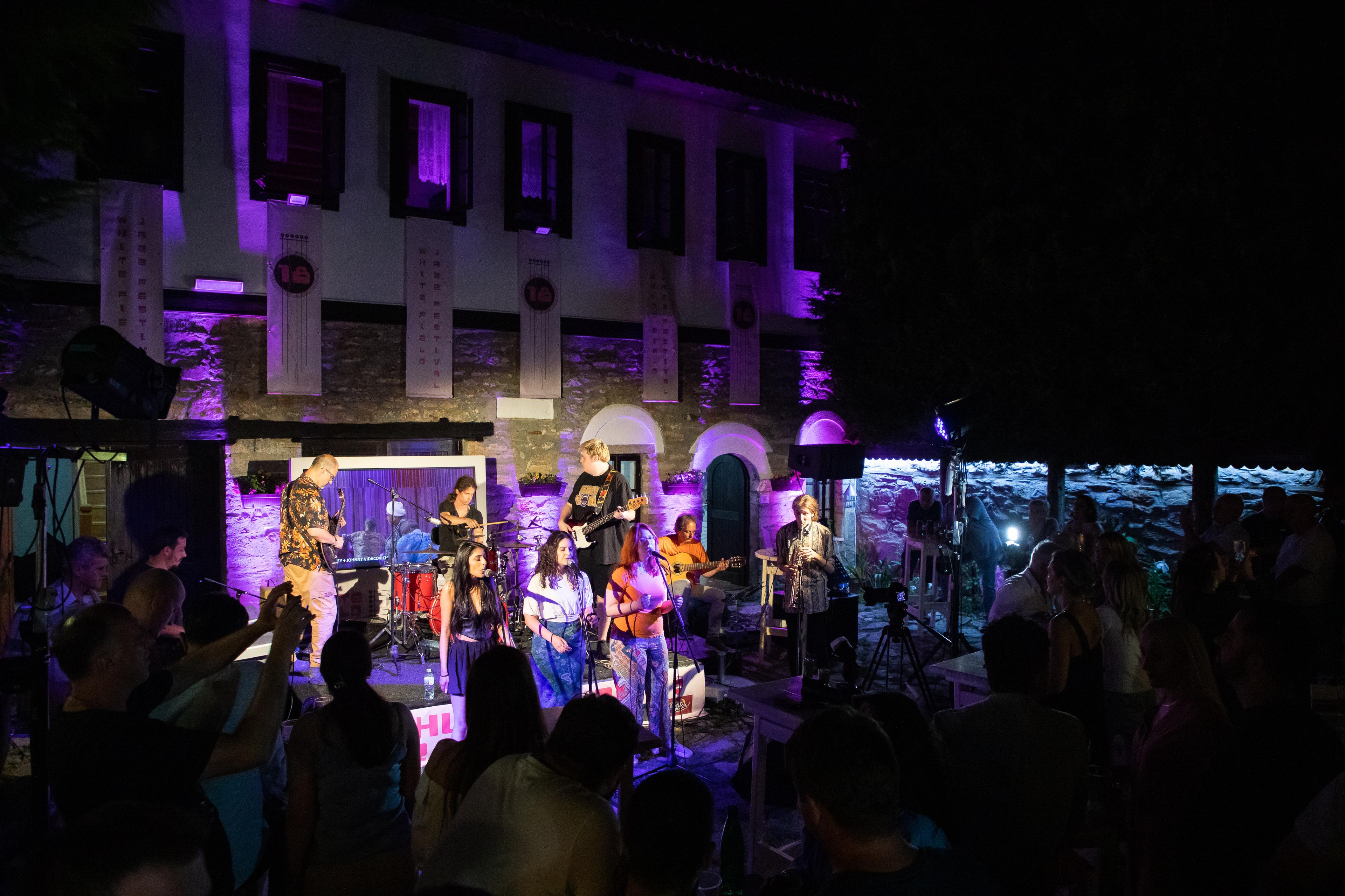 Slika za Nišville Jam Orchestra