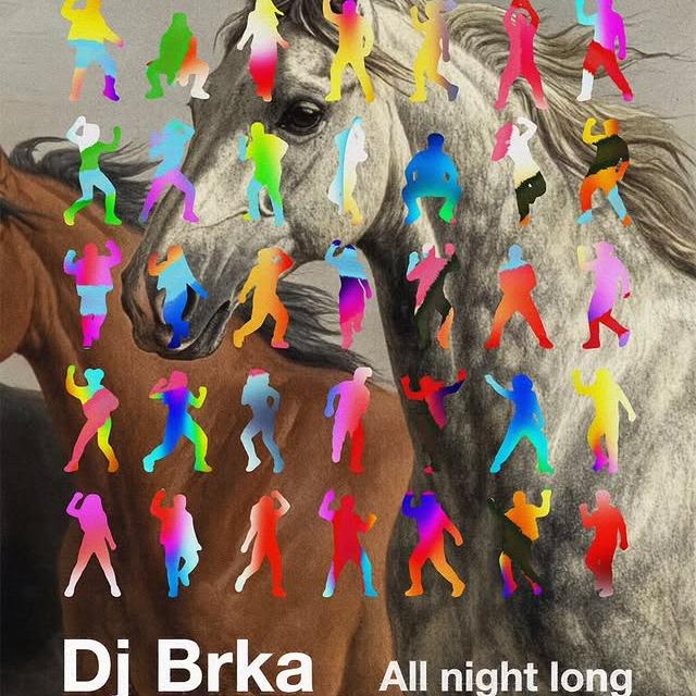 Slika za DJ Brka