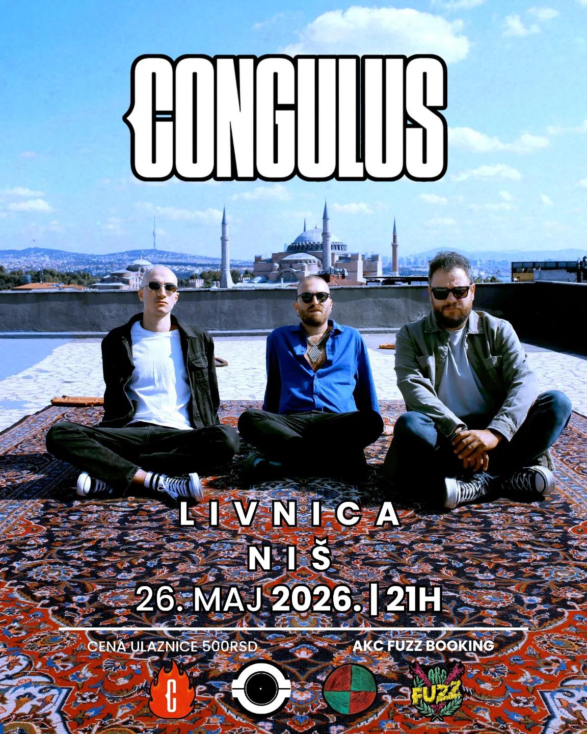 Slika za Congulus
