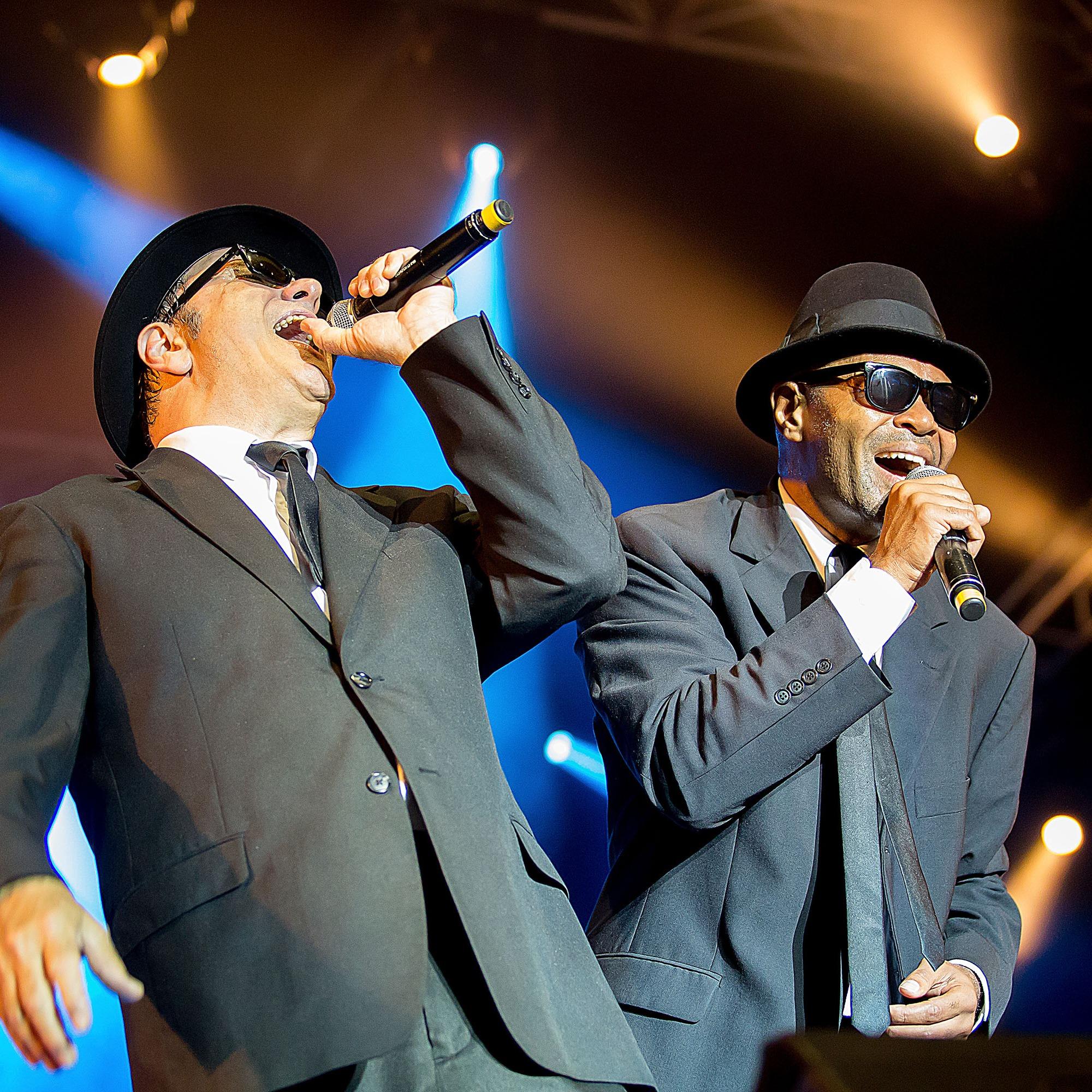Slika za The Original Blues Brothers Band