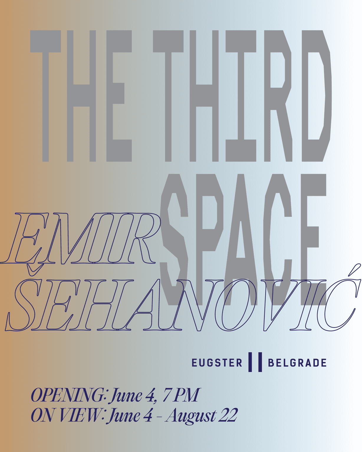 Slika za The Third Space: Emir Šehanović