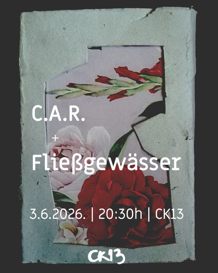 Slika za C.A.R. + Fliessgewaesser