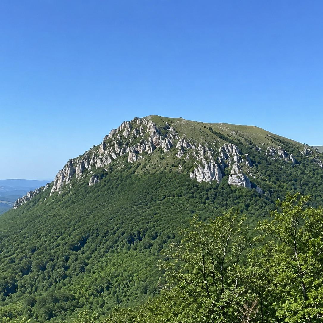 Borski Stol