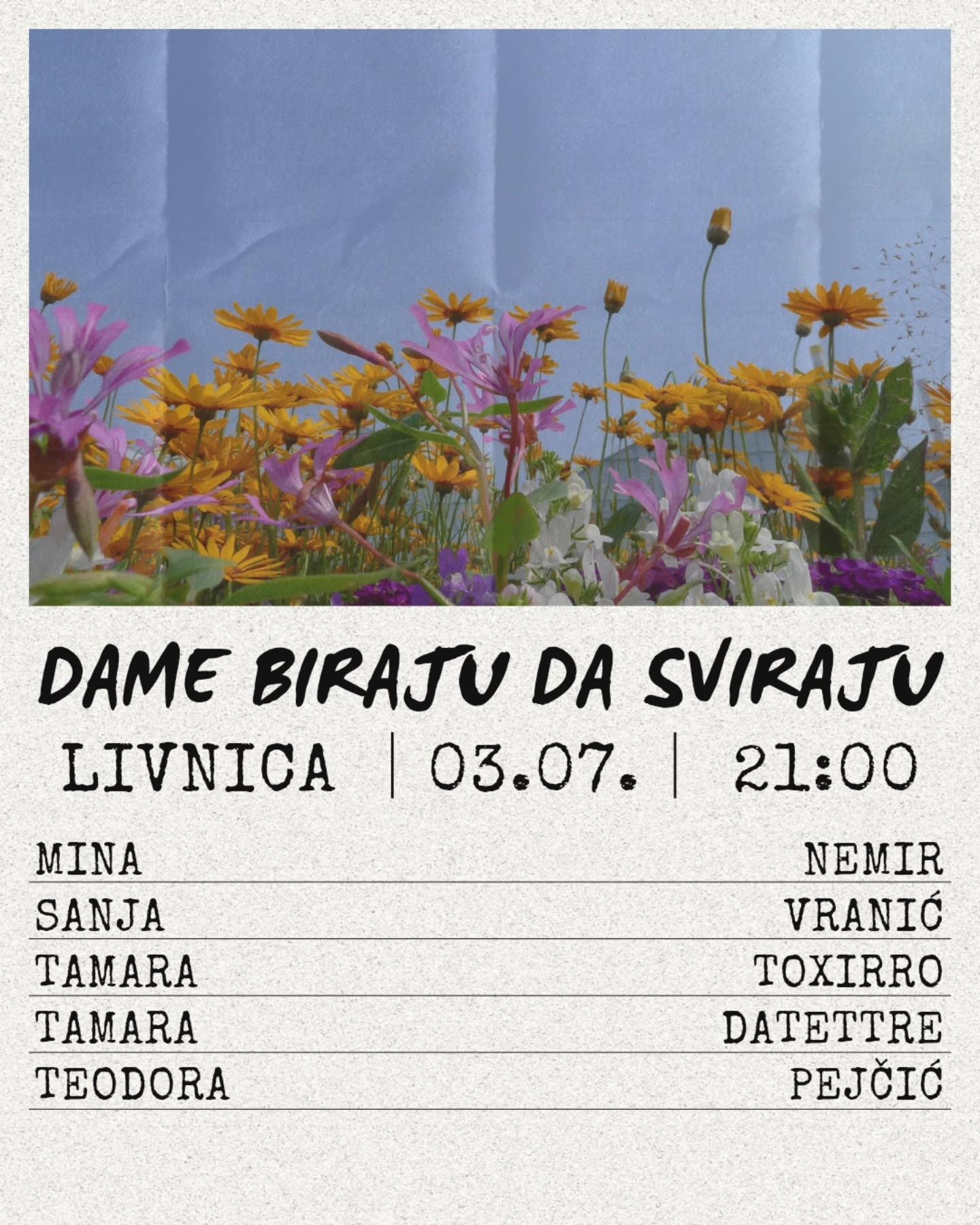 Slika za Dame biraju da sviraju vol. 2