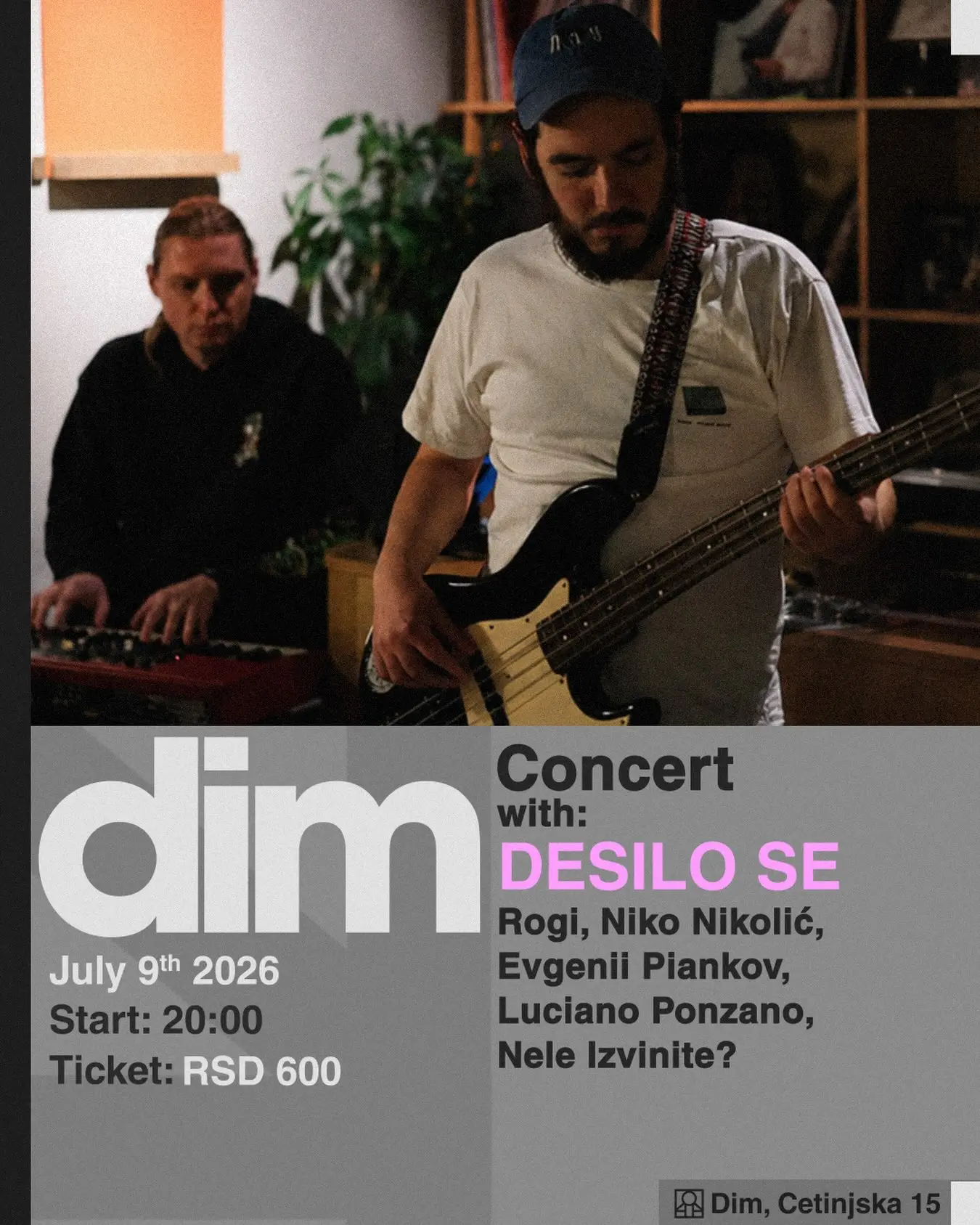 Slika za Desilo Se