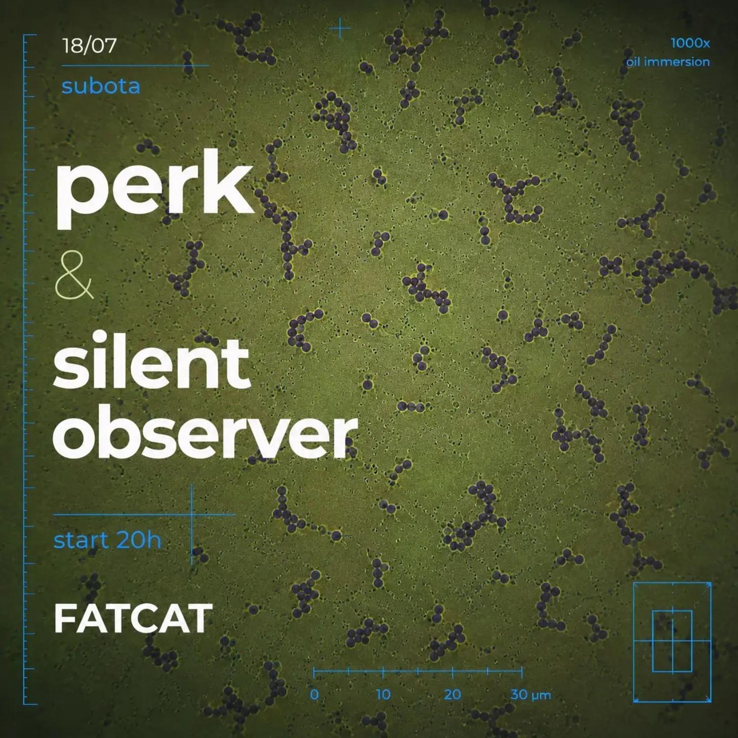 Slika za Perk & Silent Observer