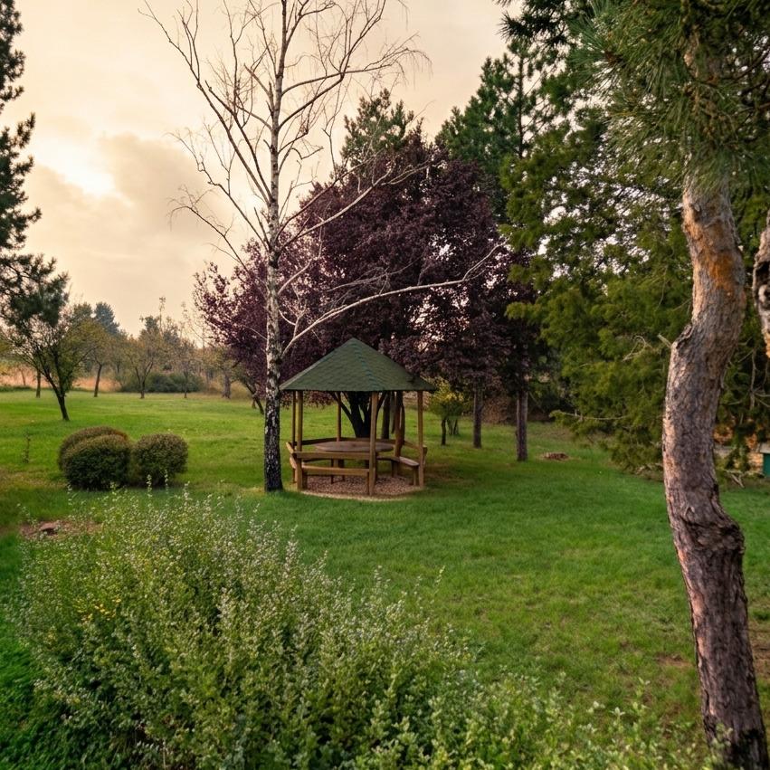 Alibegovac