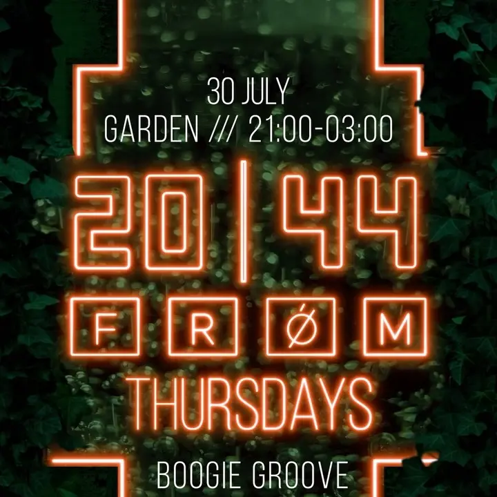 Slika za FROM: Boogie Groove, Anton Melnik, Zgonja, Niko