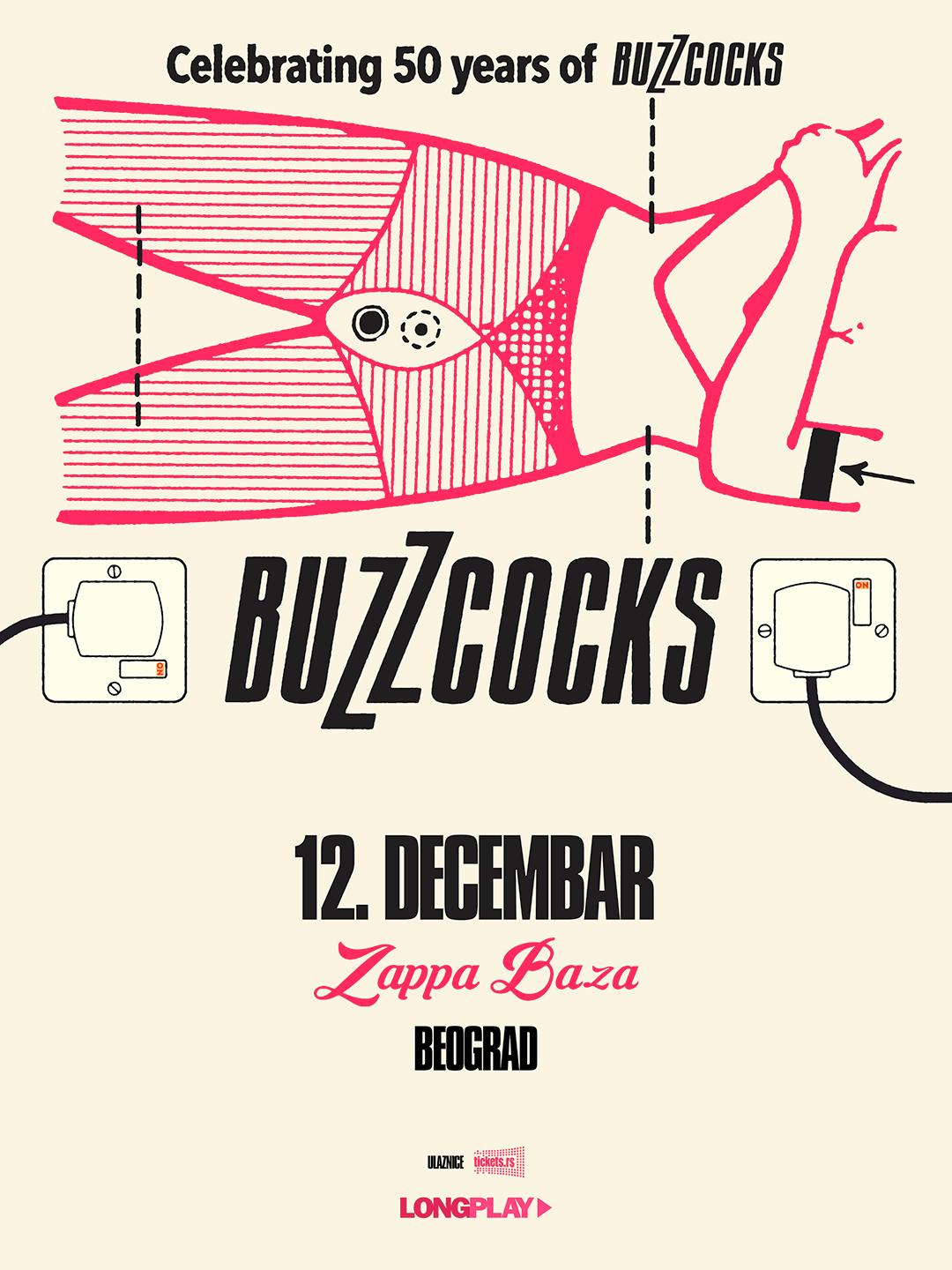 Slika za Buzzcocks (UK)