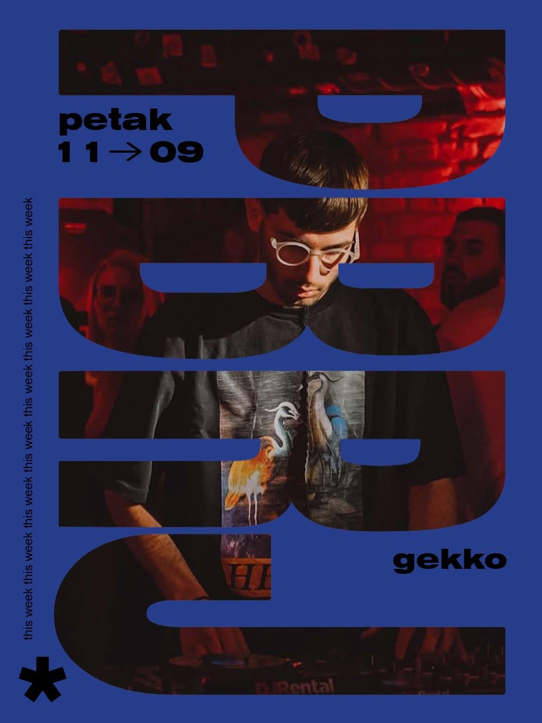 Slika za Gekko