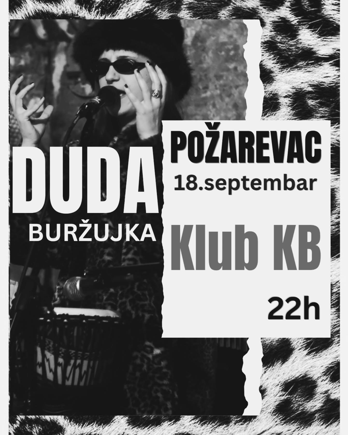 Slika za Duda Buržujka