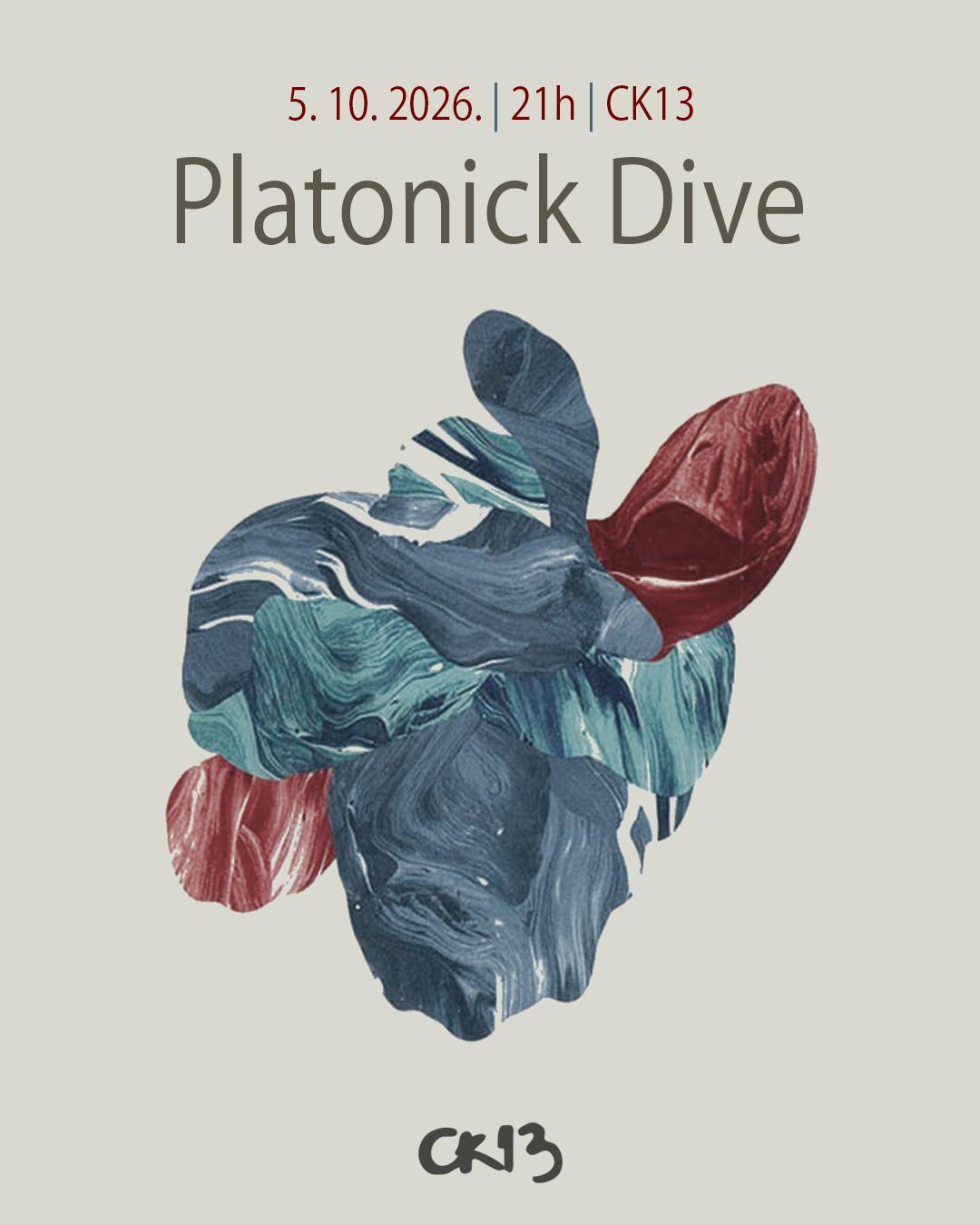 Slika za Platonick Dive (IT)