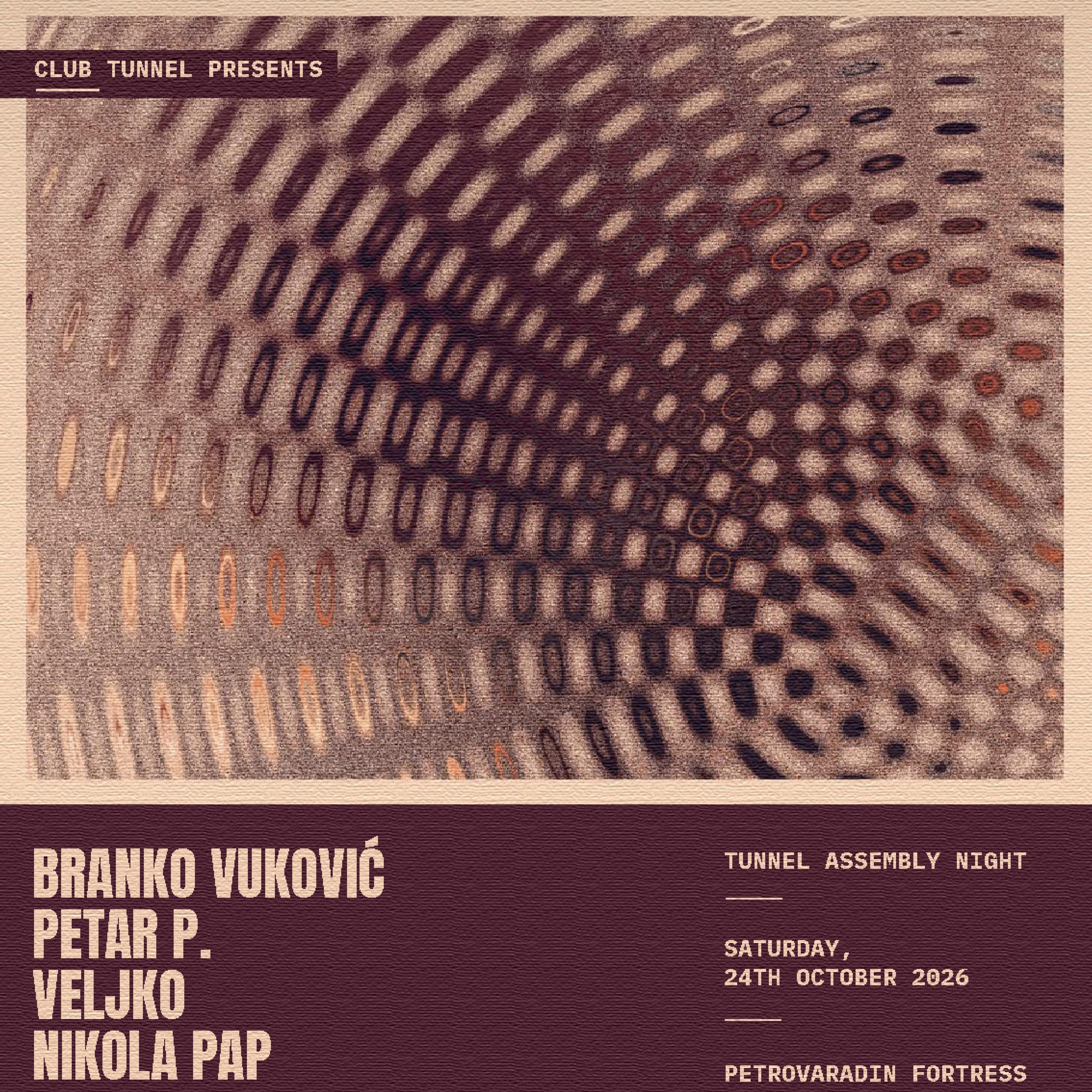 Slika za Branko Vuković, Petar P., Veljko, Nikola Pap